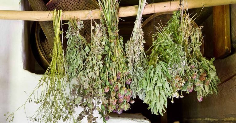How to Dry and Store Fresh Garden Herbs