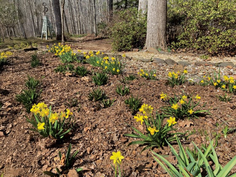 7 Garden Tips to Make the Most of Your Time and Money