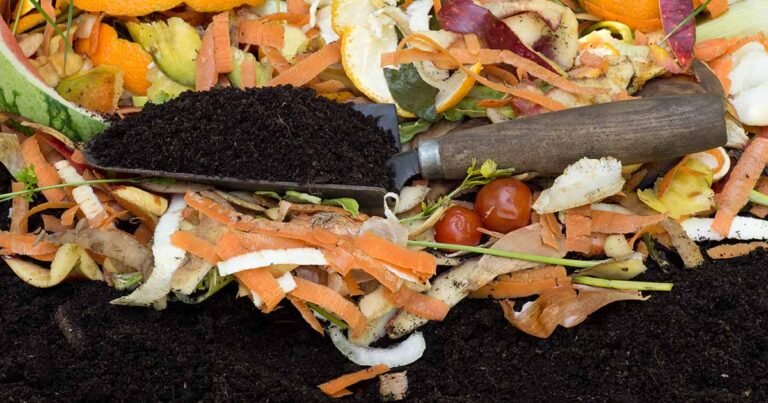 Composting 101: How to Get Started
