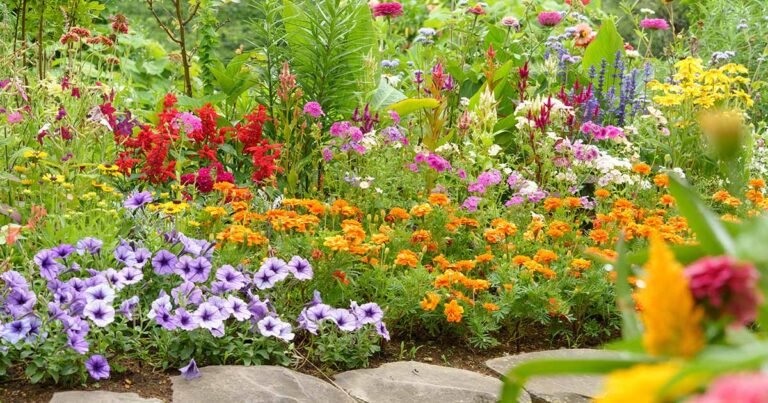 21 of the Best Flowers for Weed Control