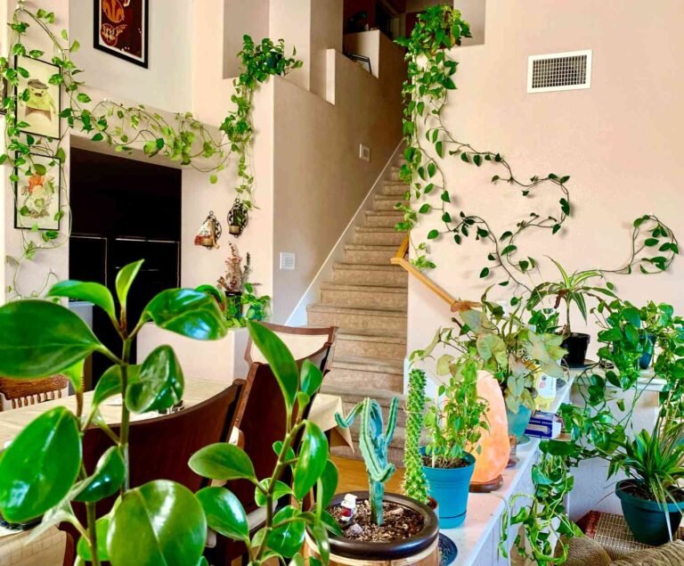 9 Common Pothos Problems and How to Fix Them