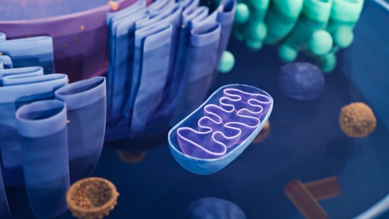 Mitochondrial disease prevented with donated genes : Shots