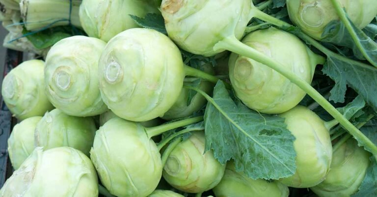 11 of the Best Kohlrabi Varieties to Grow at Home