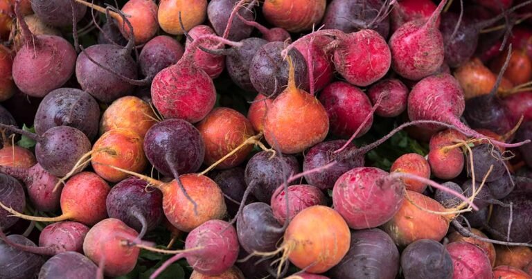 27 of the Best Beet Varieties to Grow at Home