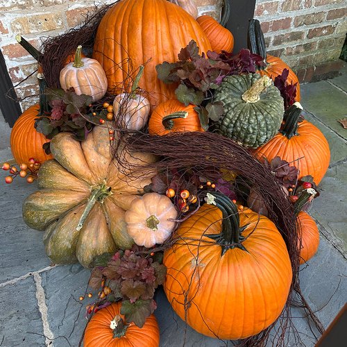 GPOD-Nemeroff-4-fall-pumpkin-decor-thumb-1x1.jpg