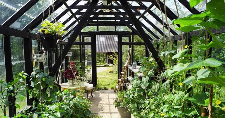 How to Choose the Right Greenhouse Flooring