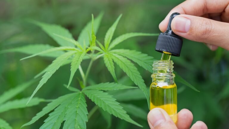 Cannabis works for back pain, in new studies : Shots