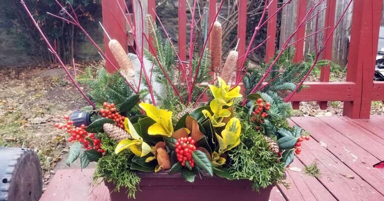 Make a Decorative Winter Arrangement: Step-by-Step Guide