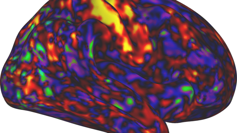 ADHD drugs may boost arousal more than attention : Shots