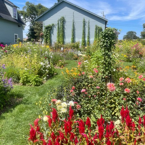 Happy New Year GPOD! – Fine Gardening