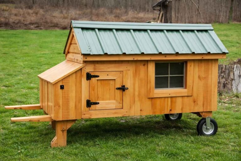 19 DIY Movable Chicken Coop Plans