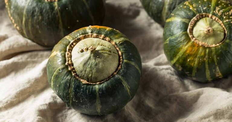 How to Plant and Grow Buttercup Squash