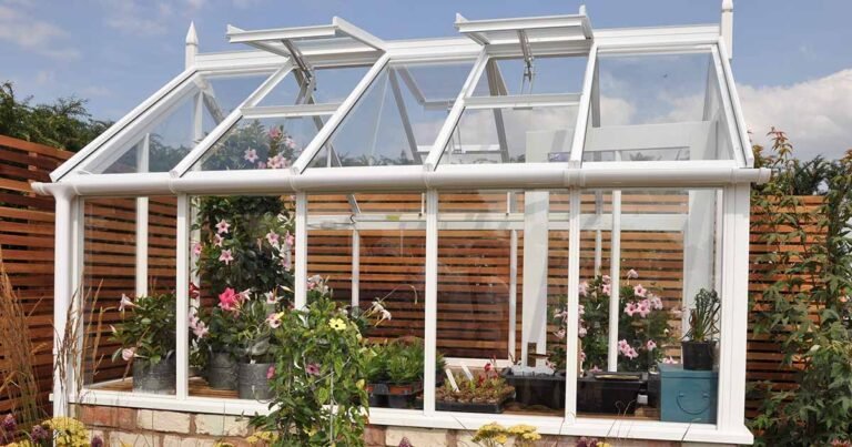 19 of the Best Annual Vines for Greenhouse Shade