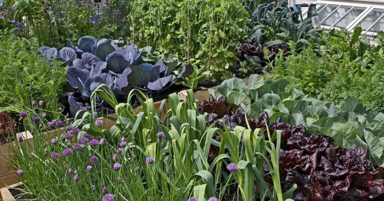 11 of the Best Fertilizers for Growing Vegetables