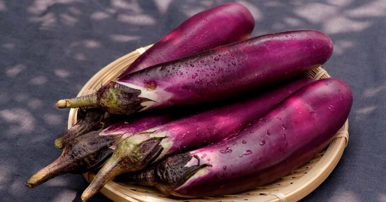 21 of the Best Japanese (Asian) Eggplant Varieties