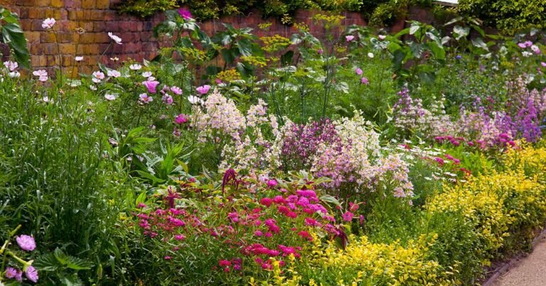 17 Best Flowering Perennials That Will Grow Almost Anywhere