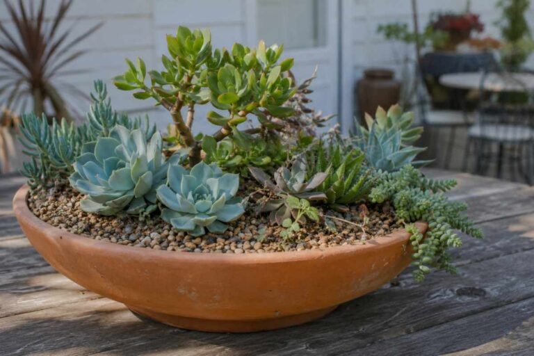 32 Inspiring Succulent Arrangements in Pots