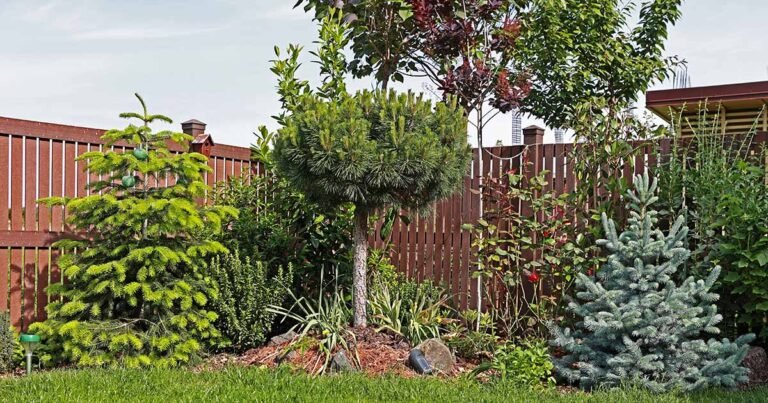17 of the Best Small Trees for Urban Gardens