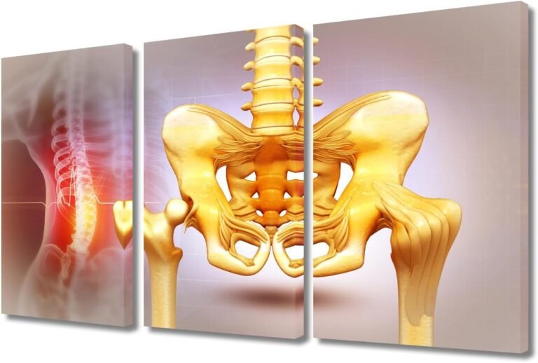Bones of the Pelvis and Hip Pictures Modern Home Decor 3 Panel Health Care Concept 3D Wall Decor for Hospital, Health Center, Pharmacy, Clinic. Framed Ready to Hang 36″Wx24″H