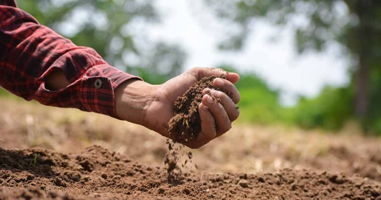 11 of the Best Soil Test Kits for Evaluating Garden Soil